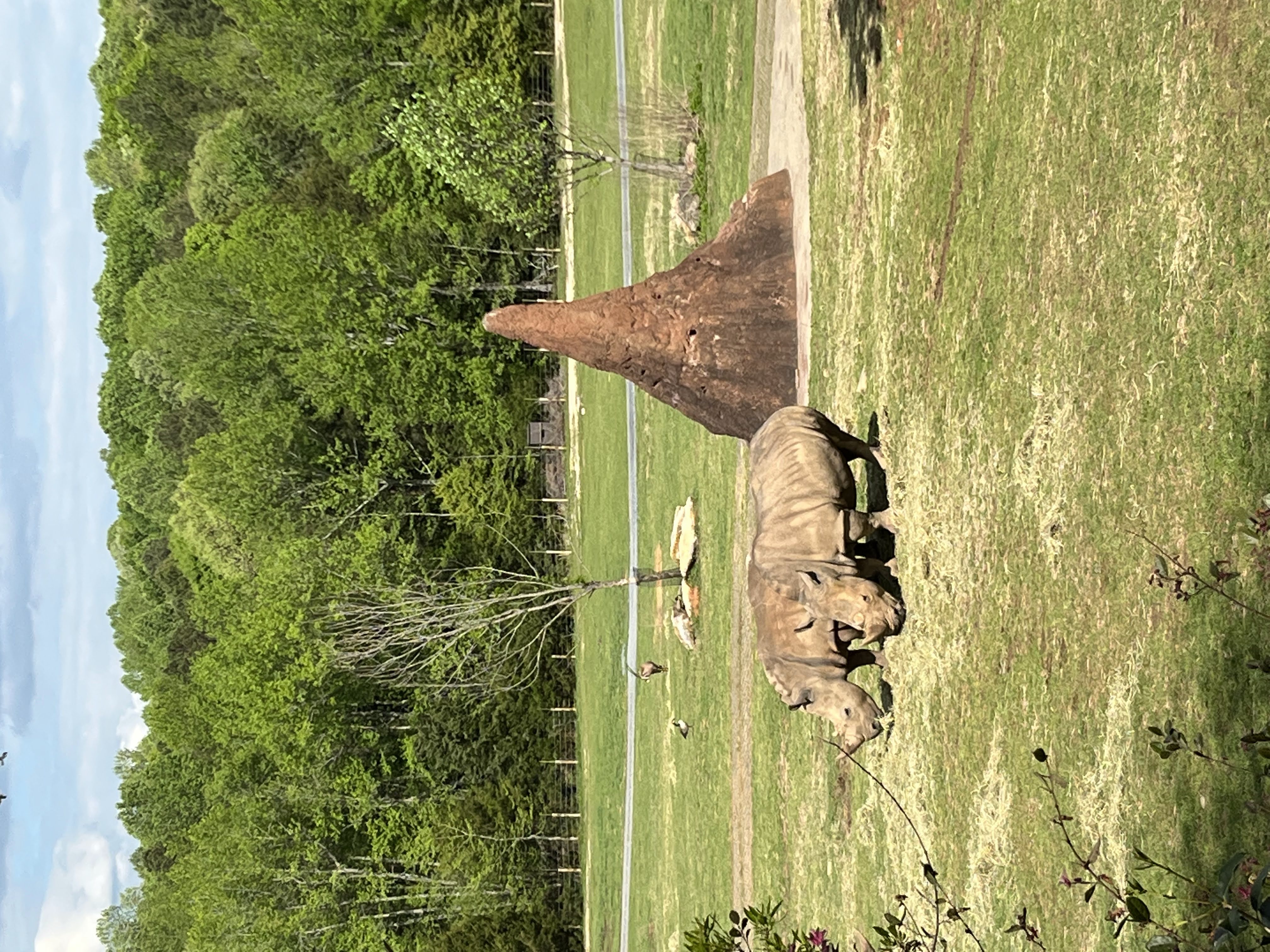 North Carolina Zoo